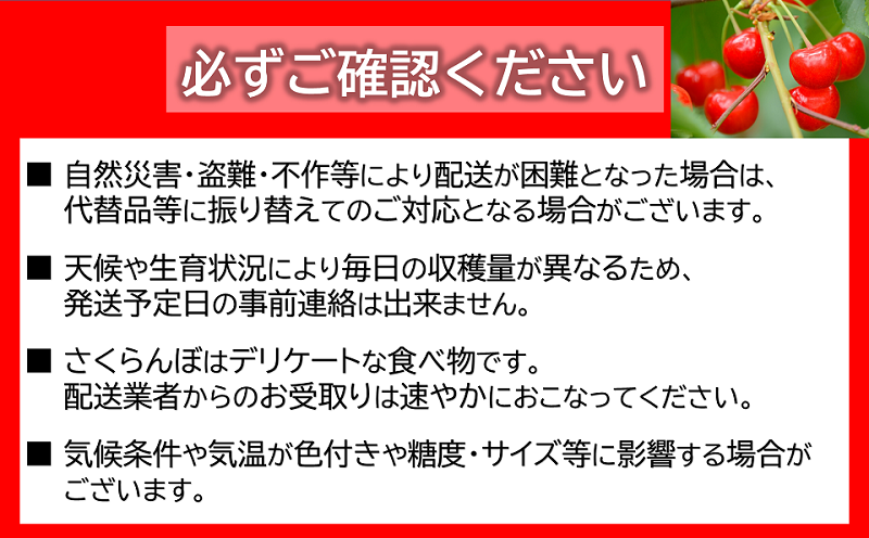 【令和7年産先行予約】 さくらんぼ 「紅秀峰」 約700g (秀 2L以上) バラ詰め 《令和7年6月下旬～発送》 『生産者 佐藤 勇二』 サクランボ 果物 フルーツ 産地直送 生産農家直送 山形県 南陽市 [891]