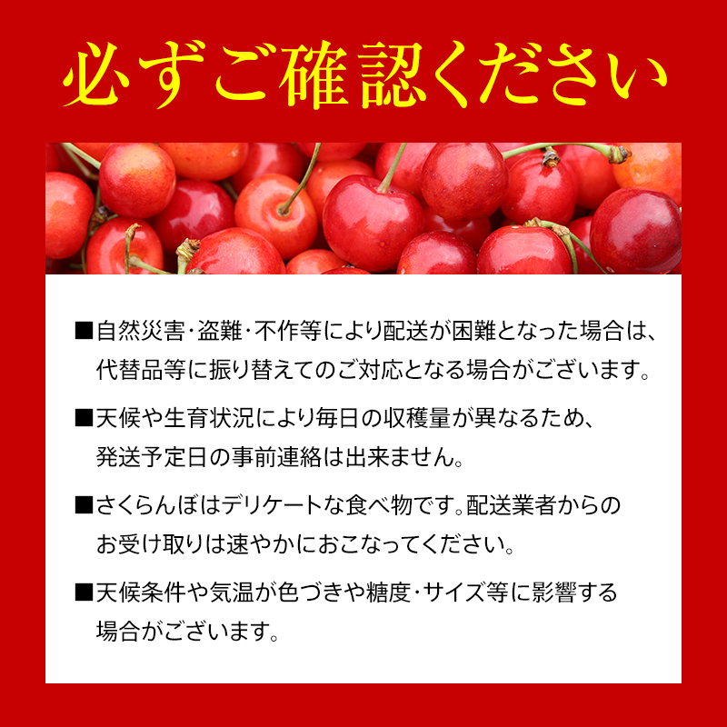 さくらんぼ 「佐藤錦」 約1kg (約500g×2パック 特秀 L～3L) バラ詰め 《令和6年6月中旬～発送》 サクランボ 山形県 南陽市 [671]