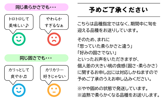 【令和6年産先行予約】 晩成の「もも」約3kg  (7～11玉) 《令和6年9月上旬～発送》 『生産者 佐藤 勇二』 桃 モモ 果物 フルーツ 産地直送 生産農家直送 山形県 南陽市 [967]