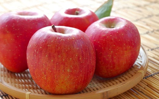 【令和8年産先行予約】 JA りんご 高徳 約1.8kg (6～10玉 秀以上) 《令和8年11月上旬～下旬発送》 『JA山形おきたま』 林檎 リンゴ 果物 フルーツ 山形県 南陽市 [1409]