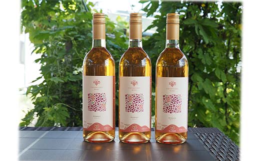 果樹園生まれの 「漆山ワイン (デラウェア)」 750ml×3本セット 『漆山果樹園』 自家栽培 山形県 南陽市 [1168]
