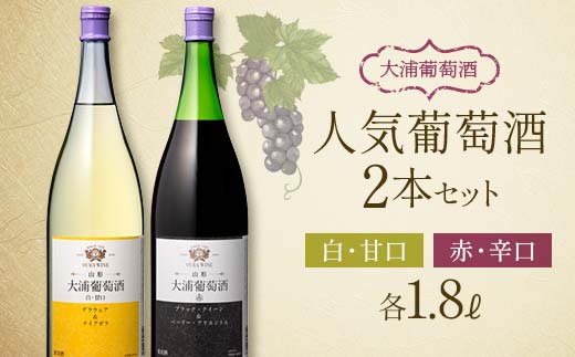 大浦葡萄酒 人気葡萄酒 1.8L×2本セット 『(有)大浦葡萄酒』 赤ワイン 白ワイン 甘口 辛口 酒 山形県 南陽市 [1895]