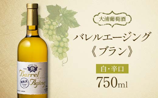 【日本ワインコンクール2023受賞ワイン】 大浦葡萄酒 バレル エージング(ブラン) 750ml×1本 『(有)大浦葡萄酒』 白ワイン 辛口 山形県 南陽市 [1897]