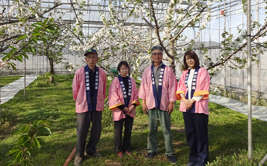 ミルキークイーン 5kg 『松田観光果樹園』 山形南陽産 米 白米 ご飯 農家直送 山形県 南陽市 [1911]
