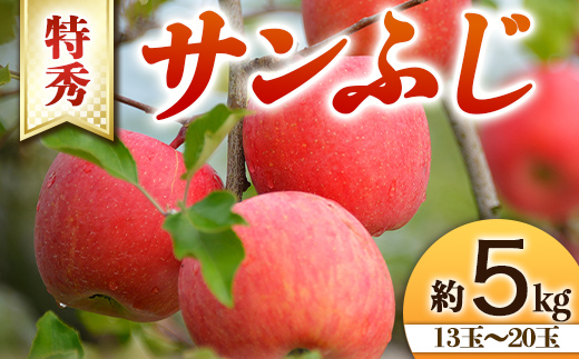【令和8年産先行予約】 りんご 「サンふじ」 約5kg (13～20玉 特秀 L～5L) 《令和8年11月下旬～発送》 『生産者 山岸 誠』 山形県 南陽市 [966]