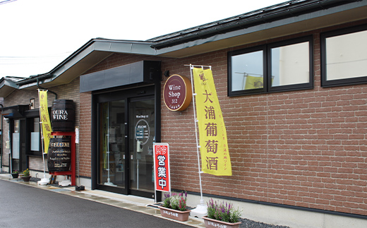 大浦葡萄酒 フルーツワイン 「リンゴワイン・サクランボワイン」500ml×2本セット 『(有)大浦葡萄酒』 ワイン 甘口 山形県 南陽市 [1945]