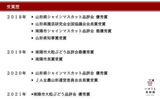 【令和7年産先行予約】 シャインマスカット 約1.5kg (2房 秀) 《令和7年9月中旬～発送》 『いのうえ果樹園』マスカット ぶどう 果物 フルーツ デザート 山形県 南陽市 [1312]