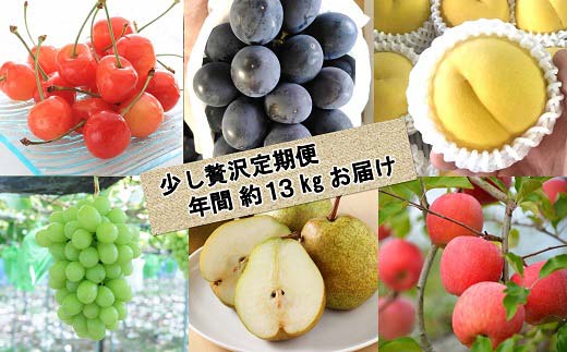 【令和8年産先行予約】 《定期便6回》 くだもの”少し贅沢”定期便 『南陽中央青果市場』 さくらんぼ ぶどう ピオーネ シャインマスカット 桃 ラ・フランス りんご 山形県 南陽市 [1166-R8]