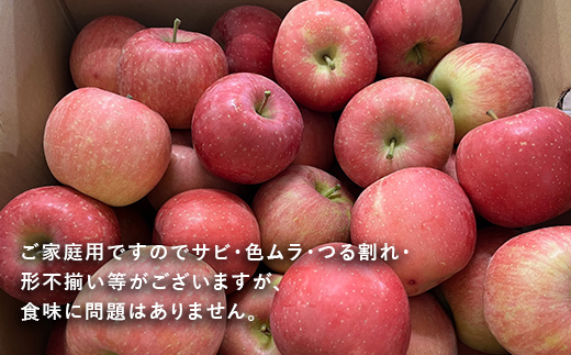 【令和6年産先行予約】 〈訳あり品 家庭用〉 りんご 「サンふじ」 約5kg バラ詰め 《令和6年12月上旬～令和7年2月下旬発送》 『カネタ高橋青果』 リンゴ 山形県 南陽市 [1958]