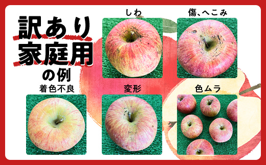 【令和6年産先行予約】 〈訳あり品 家庭用〉 りんご 「サンふじ」 約5kg バラ詰め 《令和6年12月上旬～令和7年2月下旬発送》 『カネタ高橋青果』 リンゴ 山形県 南陽市 [1958]