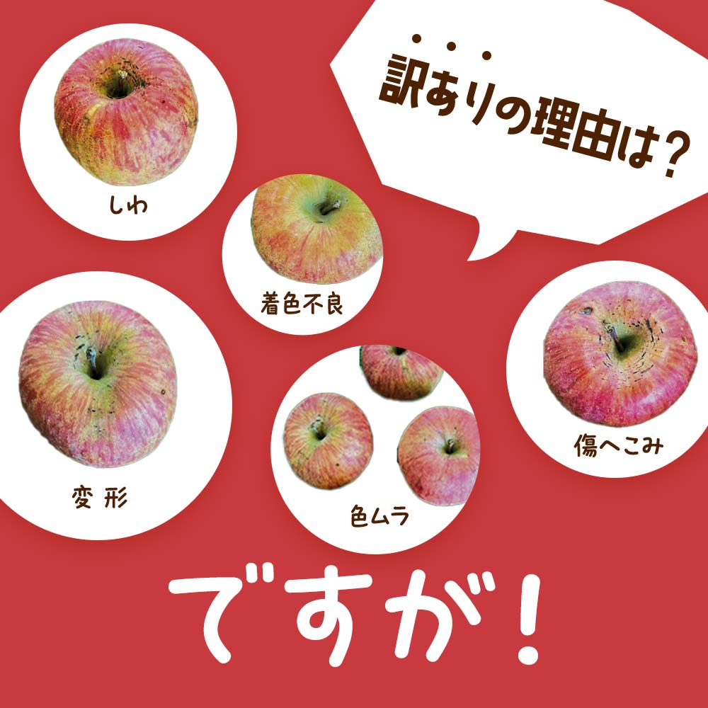 【令和7年産先行予約】 〈訳あり品 家庭用〉 りんご 「サンふじ」 約5kg バラ詰め 《令和7年12月上旬～令和8年2月下旬発送》 『カネタ高橋青果』 リンゴ 山形県 南陽市 [1958]