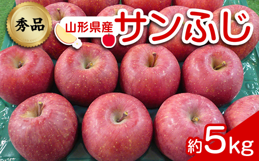 【令和6年産先行予約】 りんご 「サンふじ」 約5kg (12～23玉 秀品) 《令和6年12月上旬～令和7年2月下旬発送》 『カネタ高橋青果』 リンゴ 山形県 南陽市 [1960]