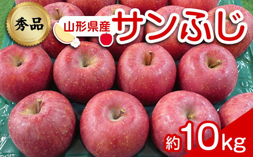 【令和6年産先行予約】 りんご 「サンふじ」 約10kg (24～46玉 秀品) 《令和6年12月上旬～令和7年2月下旬発送》 『カネタ高橋青果』 リンゴ 山形県 南陽市 [1961]