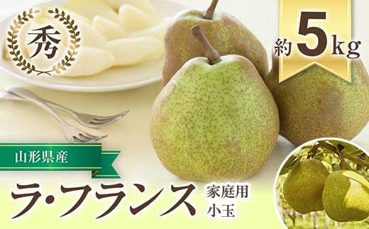 【令和8年産先行予約】 〈家庭用〉 小玉 ラ・フランス 約5kg (20～28玉 秀) 《令和8年10月下旬～11月下旬発送》 『フードシステムズ』 山形県 南陽市 [1391-R8]