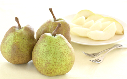 【令和8年産先行予約】 〈家庭用〉 小玉 ラ・フランス 約5kg (20～28玉 秀) 《令和8年10月下旬～11月下旬発送》 『フードシステムズ』 山形県 南陽市 [1391-R8]