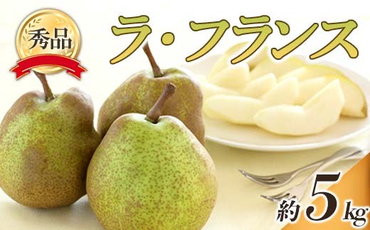 【令和8年産先行予約】 ラ・フランス 約5kg (10～22玉 秀) 《令和8年10月下旬～11月下旬発送》 『フードシステムズ』 ラフランス 西洋梨 洋なし 果物 山形県 南陽市 [849-R8]