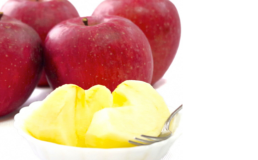 【令和8年産先行予約】 〈家庭用〉 小玉 サンふじりんご 約5kg (20～25玉 秀) 《令和8年11月中旬～12月下旬発送》 『フードシステムズ』 林檎 リンゴ 山形県 南陽市 [1392-R8]