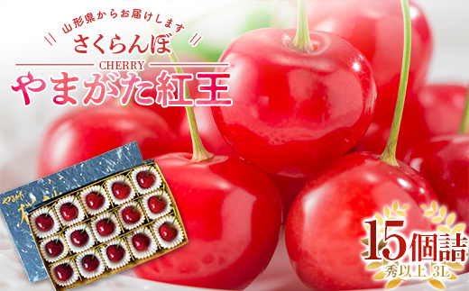 【令和7年産先行予約】 【農林水産大臣賞受賞農家】 さくらんぼ「やまがた紅王」 15個詰 (秀以上 3L) 《令和7年6月中旬～発送》 『長谷部農園』 生産農家直送 山形県 南陽市 [2053]