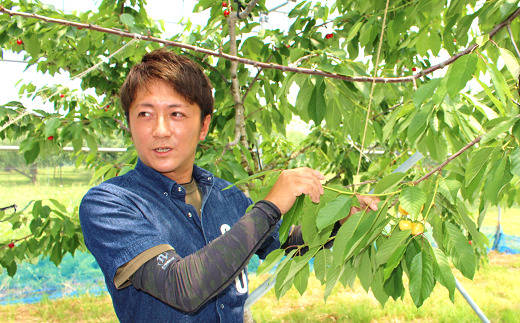 【令和7年産先行予約】 【農林水産大臣賞受賞農家】 さくらんぼ「やまがた紅王」 15個詰 (秀以上 3L) 《令和7年6月中旬～発送》 『長谷部農園』 生産農家直送 山形県 南陽市 [2053]