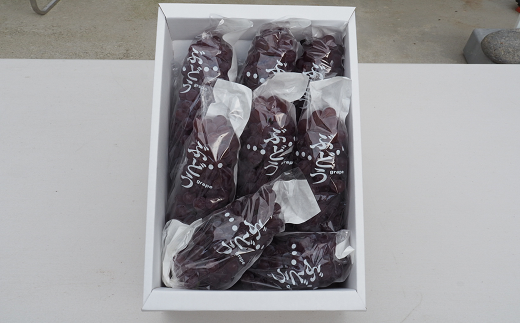 【令和8年産先行予約】 朝どりデラウェア 1箱 (9房前後入り) 《令和8年7月中旬～発送》 『漆山果樹園』 葡萄 ぶどう ブドウ 種なし 新鮮 果物 フルーツ デザート 山形県 南陽市 [661]