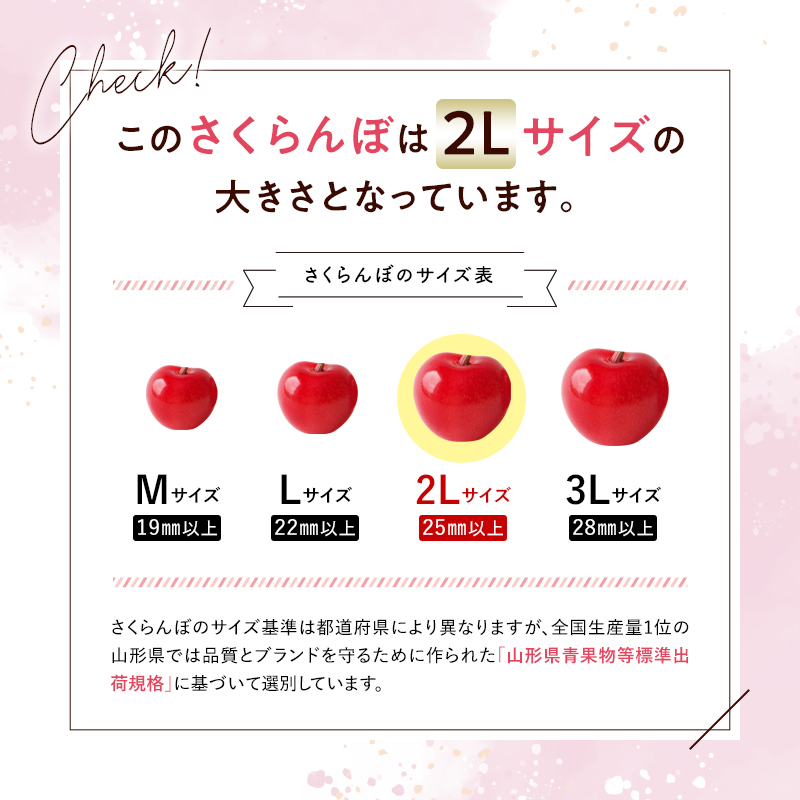 【令和6年産先行予約】 さくらんぼ 「佐藤錦」 約500g (秀 2L以上) バラ詰め 《令和6年6月上旬～発送》 『生産者おまかせ』 サクランボ 果物 フルーツ 産地直送 生産農家直送 山形県 南陽市 [885]