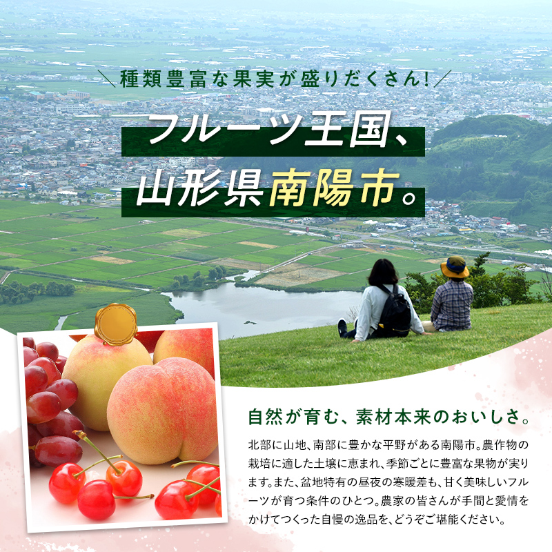 《定期便12回》 南陽産フルーツ＆加工品 1年満喫定期便 『漆山果樹園』 山形県 南陽市 [1180]