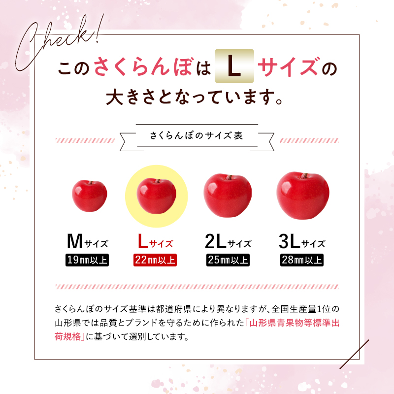 【令和6年産先行予約】 さくらんぼ 「佐藤錦または紅秀峰」 約500g (秀 L以上) バラ詰め《令和6年6月中旬～発送》 『南陽中央青果市場』 山形県 南陽市 [1203]