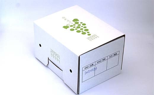 【令和8年産先行予約】 シャインマスカット 600g以上 (1房 秀) 《令和8年9月頃～発送》 『南陽中央青果市場』 マスカット ぶどう 果物 フルーツ デザート 山形県 南陽市 [1206]