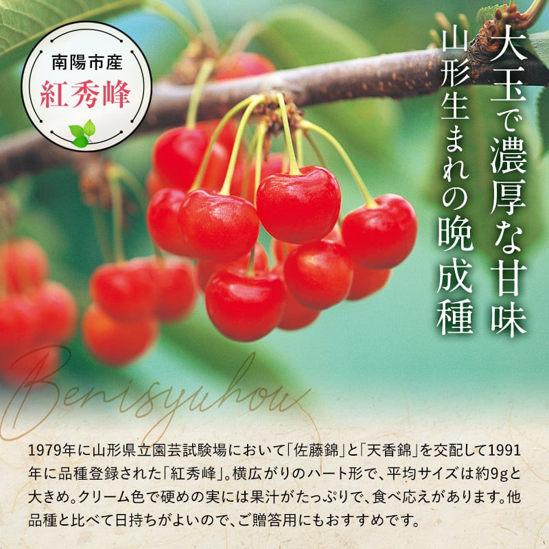 【令和7年産先行予約】 さくらんぼ 「紅秀峰」 約700g (秀 2L以上) バラ詰め 《令和7年6月下旬～発送》 『生産者 佐藤 勇二』 サクランボ 果物 フルーツ 産地直送 生産農家直送 山形県 南陽市 [891]