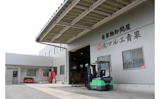 【令和8年産先行予約】 《定期便3回》 果樹王国山形 南陽のフルーツ定期便B 『マルエ青果』 果物 くだもの フルーツ 山形県 南陽市 [1494-R8]