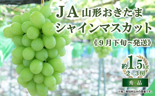 【令和7年産先行予約】 JA シャインマスカット 約1.5kg (2～3房 秀) 《令和7年9月下旬～発送》 『JA山形おきたま』 山形県 南陽市 [2054]