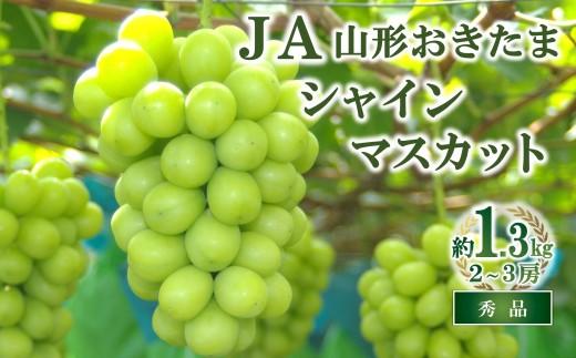 【令和8年産先行予約】 JA シャインマスカット 約1.3kg (2～3房 秀) 《令和8年9月下旬～発送》 『JA山形おきたま』 マスカット ぶどう 果物 フルーツ 山形県 南陽市 [2054]