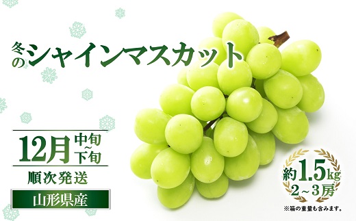 【令和7年産先行予約】 JA 冬のシャインマスカット 約1.5kg (2～3房 秀) 《令和7年12月中旬～下旬発送》 『JA山形おきたま』 山形県 南陽市 [2055]