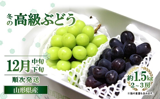 【令和7年産先行予約】 JA 冬の高級ぶどう 「シャインマスカット + ウィンク」 約1.5kg (計2～3房 秀) 《令和7年12月中旬～下旬発送》 『JA山形おきたま』 山形県 南陽市 [2056]