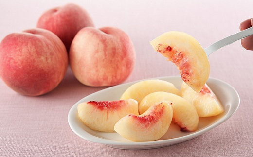 【令和7年産先行予約】 《定期便6回》 フルーツ満喫定期便A 『フードシステムズ』 山形県 南陽市 [1138-R7]