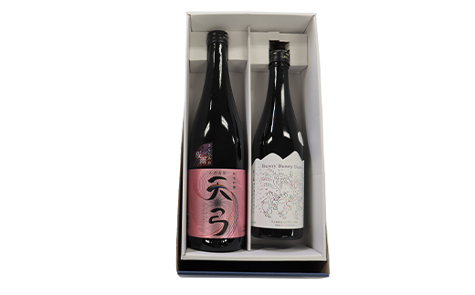 東の麓 願いの桜セット 「純米吟醸  天弓 桜雨 720ml×1本 ＆ 純米大吟醸 三羽の兎 500ml×1本」 『東の麓酒造』 日本酒 2本セット 飲み比べ 山形県 南陽市 [2057]