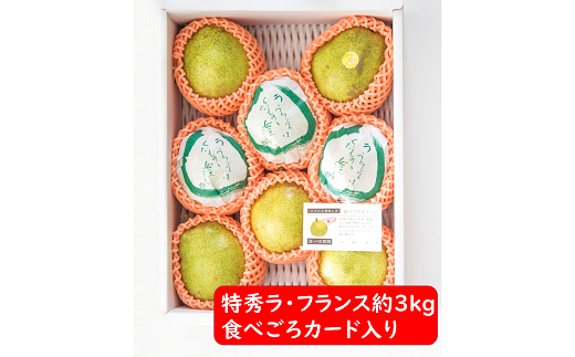 【令和6年産先行予約】 ラ・フランス 約3kg (8～11玉 特秀 2～5L) 《令和6年11月～発送》 『たけひさ農園』 ラフランス 西洋梨 洋なし 果物 フルーツ デザート 山形県 南陽市 [1087-1]