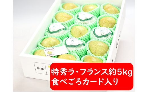 【令和6年産先行予約】 ラ・フランス 約5kg (15～18玉 特秀 2～4L) 《令和6年11月～発送》 『たけひさ農園』 ラフランス 西洋梨 洋なし 果物 フルーツ デザート 山形県 南陽市 [1088-1]