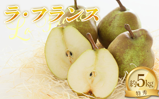 【令和8年産先行予約】 ラ・フランス 約5kg (14～16玉 特秀 3～4L) 《令和8年11月中旬～発送》 『NOWAフルーツ』 ラフランス 西洋梨 洋なし 果物 フルーツ [2065-R8]