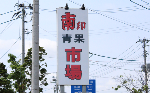 【令和7年産先行予約】 《定期便3回》 食べきりサイズの くだもの定期便 『南陽中央青果市場』 フルーツ 山形県 南陽市 [1745]