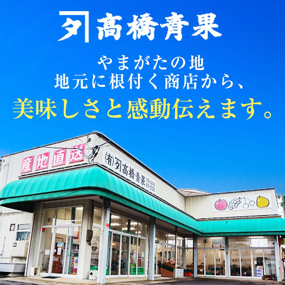 【令和7年産先行予約】 〈訳あり品 家庭用〉 りんご 「サンふじ」 約5kg バラ詰め 《令和7年12月上旬～令和8年2月下旬発送》 『カネタ高橋青果』 リンゴ 山形県 南陽市 [1958]