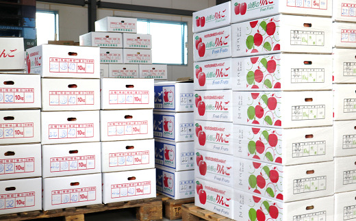 【令和7年産先行予約】 りんご 「サンふじ」 約5kg (12～23玉 秀品) 《令和7年12月上旬～令和8年2月下旬発送》 『カネタ高橋青果』 リンゴ 山形県 南陽市 [1960]