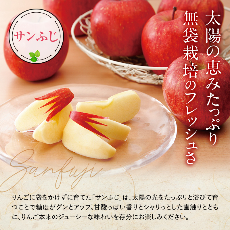 【令和6年産先行予約】 〈訳あり品 家庭用〉 りんご 「サンふじ」 約5kg バラ詰め 《令和6年12月上旬～令和7年2月下旬発送》 『カネタ高橋青果』 リンゴ 山形県 南陽市 [1958]