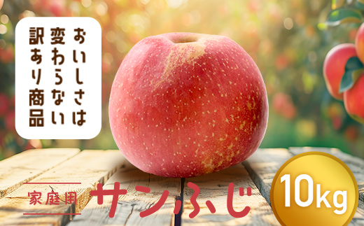 【令和7年産先行予約】 〈訳あり品 家庭用〉 りんご 「サンふじ」 約10kg バラ詰め 《令和7年12月上旬～令和8年2月下旬発送》 『カネタ高橋青果』 リンゴ 山形県 南陽市 [1959]
