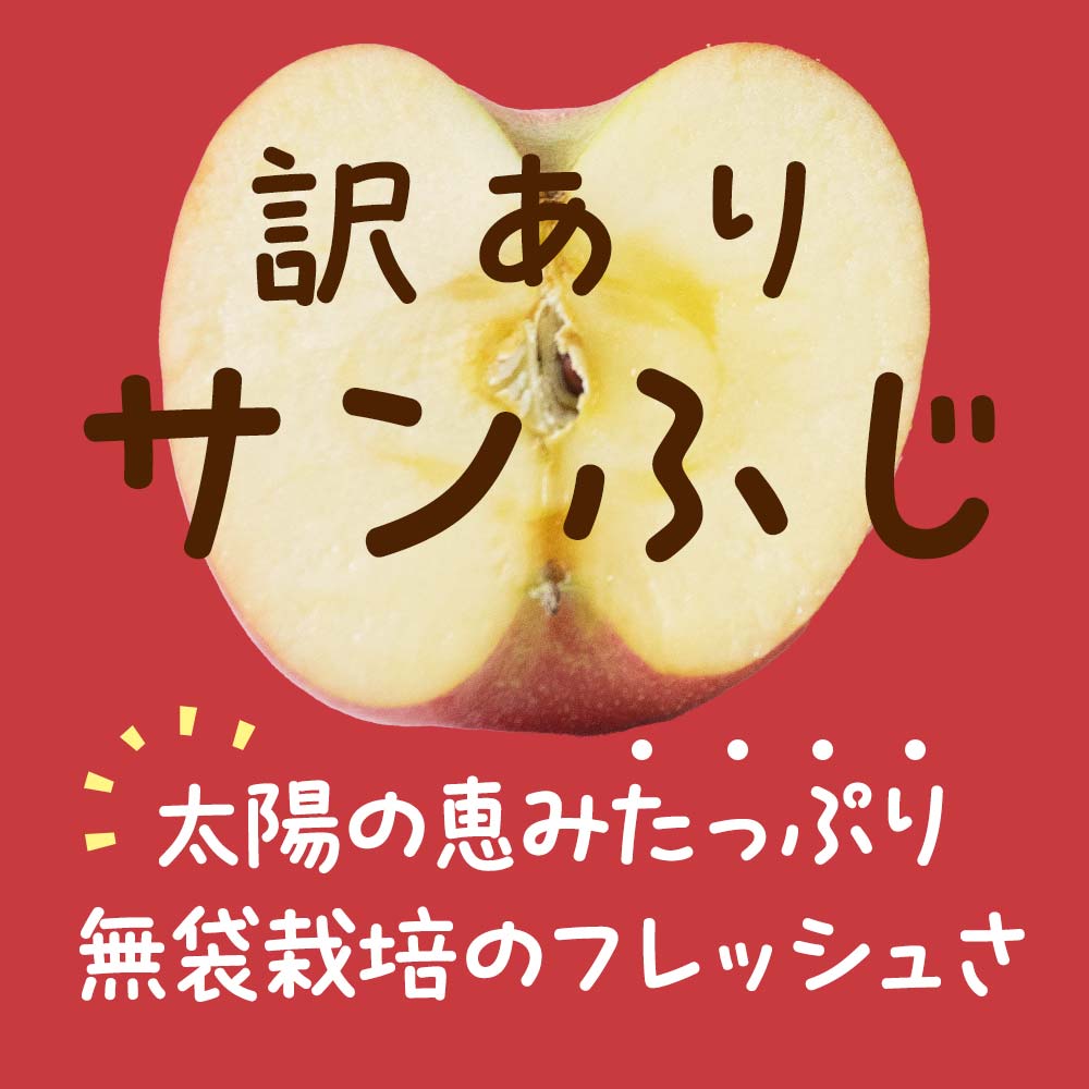 【令和7年産先行予約】 〈訳あり品 家庭用〉 りんご 「サンふじ」 約10kg バラ詰め 《令和7年12月上旬～令和8年2月下旬発送》 『カネタ高橋青果』 リンゴ 山形県 南陽市 [1959]