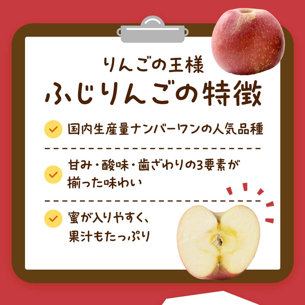 【令和7年産先行予約】 〈訳あり品 家庭用〉 りんご 「サンふじ」 約10kg バラ詰め 《令和7年12月上旬～令和8年2月下旬発送》 『カネタ高橋青果』 リンゴ 山形県 南陽市 [1959]