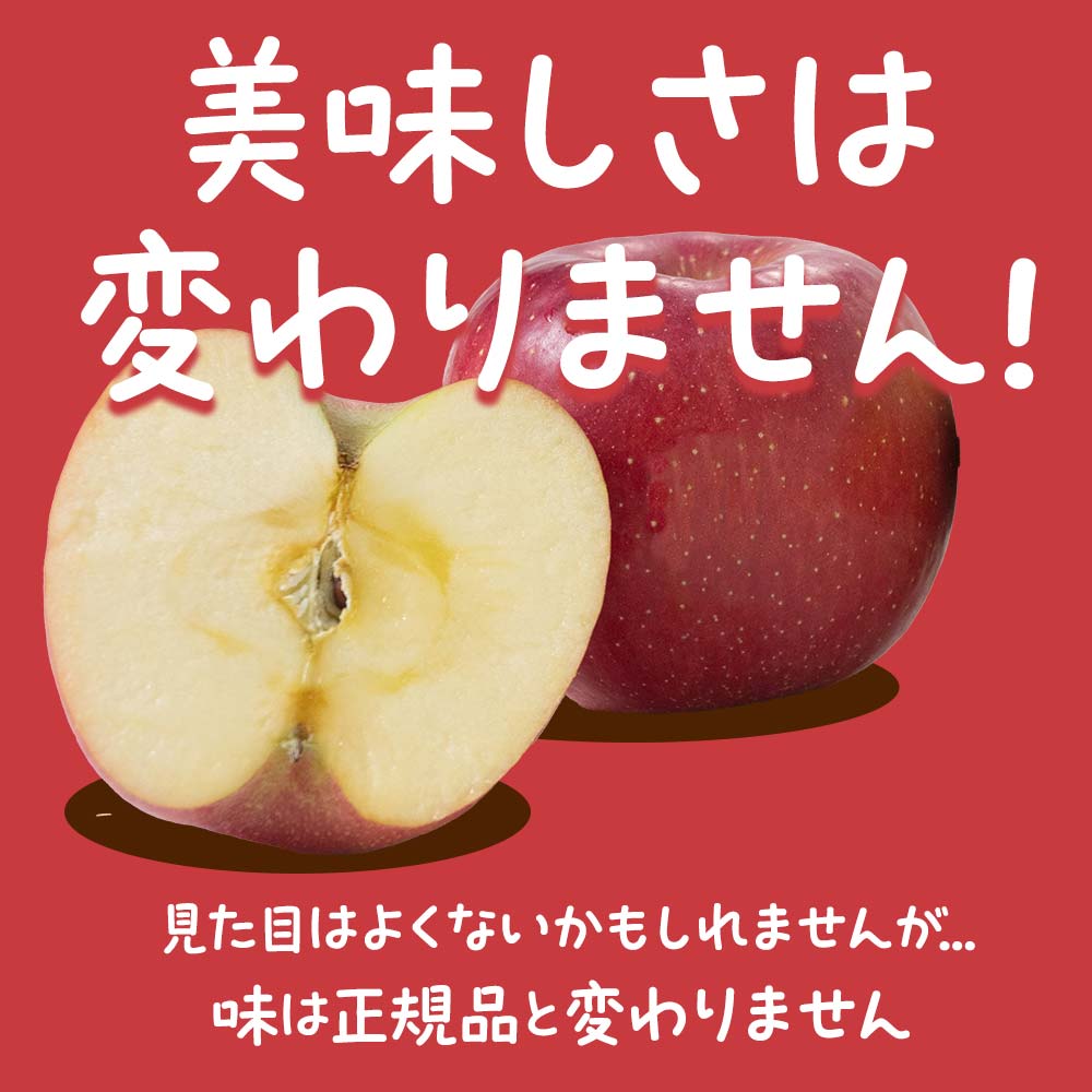 【令和7年産先行予約】 〈訳あり品 家庭用〉 りんご 「サンふじ」 約10kg バラ詰め 《令和7年12月上旬～令和8年2月下旬発送》 『カネタ高橋青果』 リンゴ 山形県 南陽市 [1959]