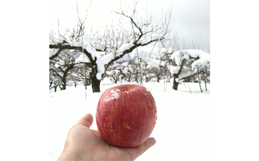 〈訳あり ちょっと規格外〉 雪んこ 完熟ふじりんご 約4kg ＆ ふじりんご ストレートジュース 1本セット 《令和8年1月上旬より発送予定》 【全国りんご選手権銀賞】 『船中農園』 山形県 南陽市[1404-1]