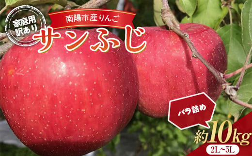 【令和8年産先行予約】 〈訳あり品 家庭用〉 りんご 「サンふじ」 約10kg (24～36玉) バラ詰め 《令和8年11月中旬～発送》 『マルタニ農園』 リンゴ 山形県 南陽市 [1916]