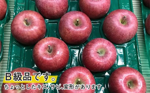 【令和6年産先行予約】 〈訳あり品 家庭用〉 りんご 「サンふじ」 約10kg (24～36玉) バラ詰め 《令和6年11月中旬～12月上旬発送》 『マルタニ農園』 リンゴ 山形県 南陽市 [1916]